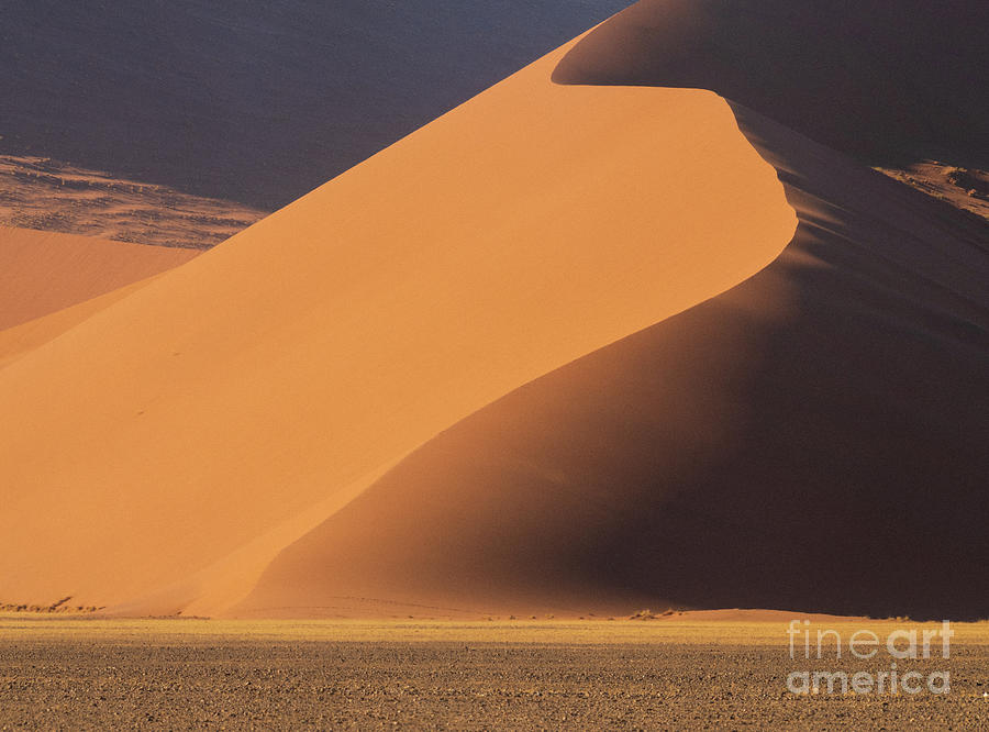 Namibia Curves Of Sand Photograph