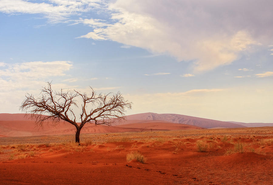 Namibia Desert 3 Photograph by Björn Disch