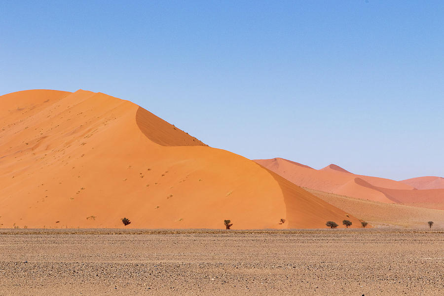 Namibia desert 3 Photograph by Mache Del Campo