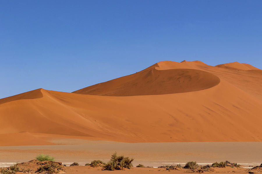 Namibia Desert by Mache Del Campo Namibia Desert by Mache Del Campo