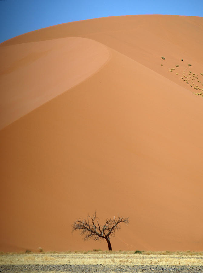 Namibia - Namib Desert Photograph by Ibon Cano Sanz