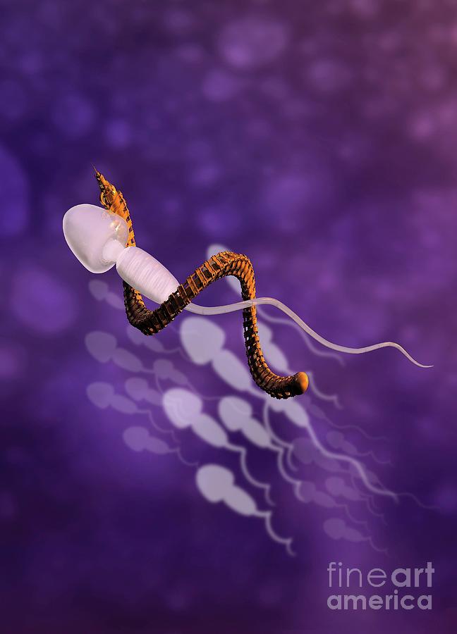 Nanobot And Sperm Photograph By Victor Habbick Visionsscience Photo Library 3749