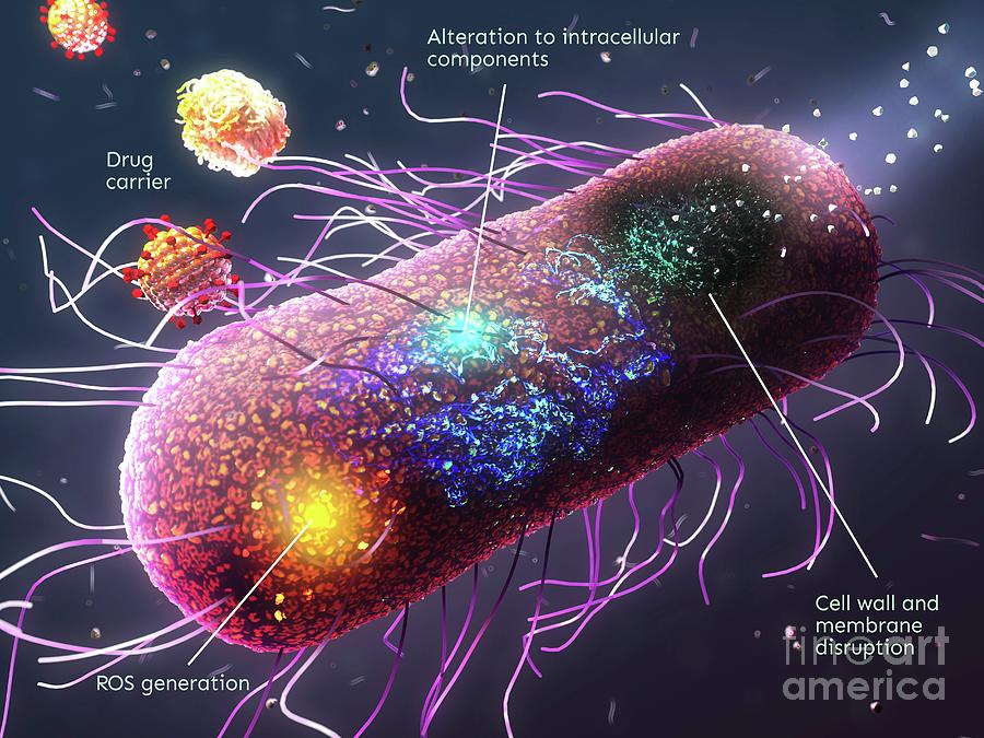 Nanomaterials Used Against Antibiotic-resistant Bacteria Photograph by ...