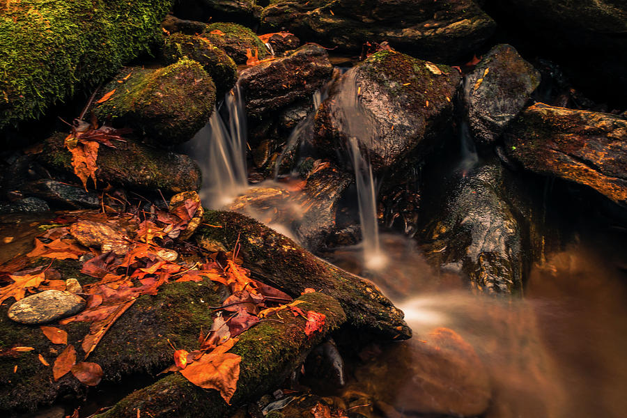 Nantahala Hidden Gems by Gary Bond Nantahala Hidden Gems by Gary Bond