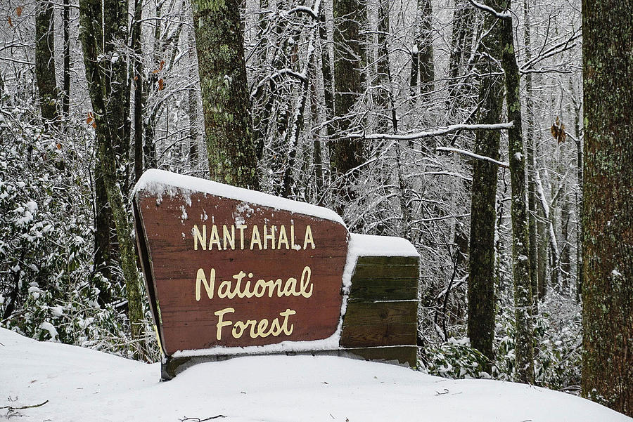 Nantahala National Forest Sign In The Snow Photograph
