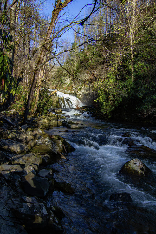 Nantahala Waterfall Photograph By Whitney Branch - Fine Art America