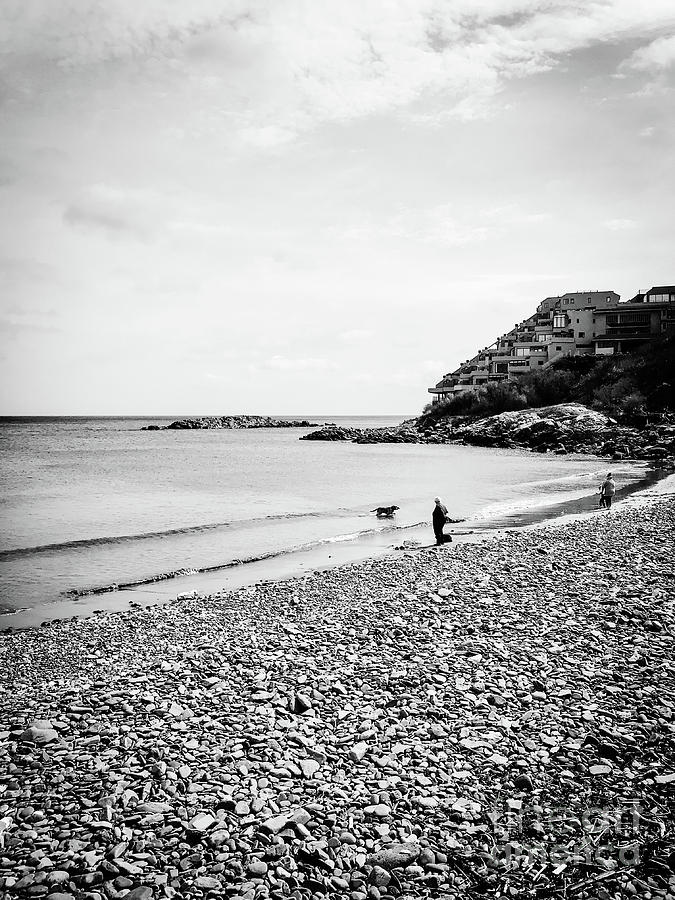 Nantasket Beach Dog Photograph by JMerrickMedia Nantasket Beach Dog Photograph by JMerrickMedia