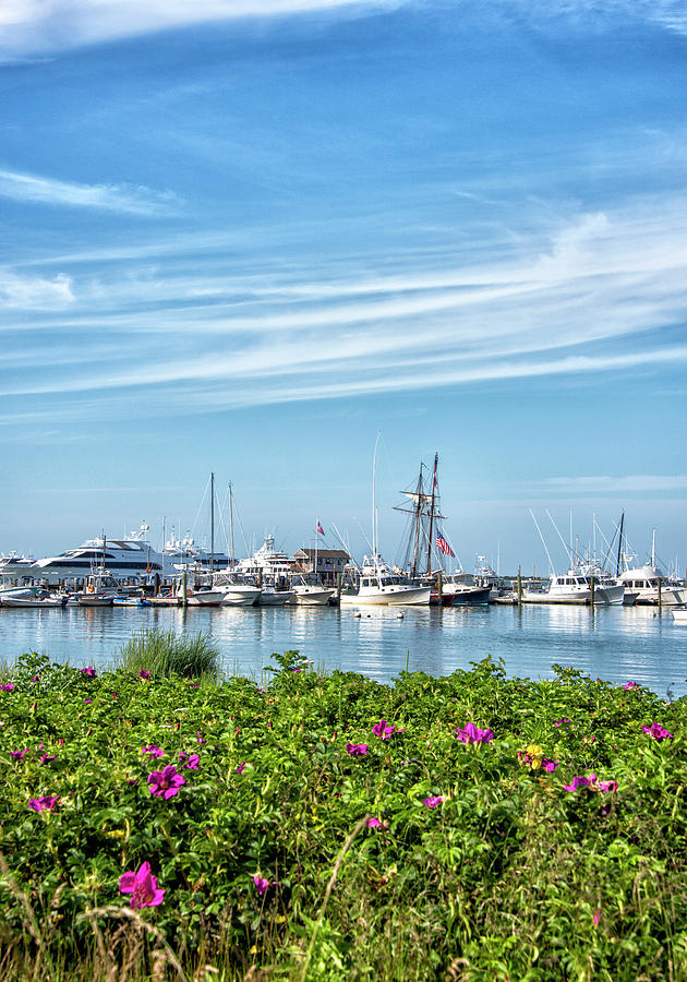 Flower Photograph - Nantucket Boat Basin and Harbor - Massachusetts by Brendan Reals