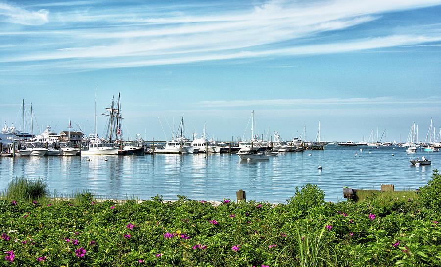 Flower Photograph - Nantucket Harbor and Boat Basin - Massachusetts by Brendan Reals