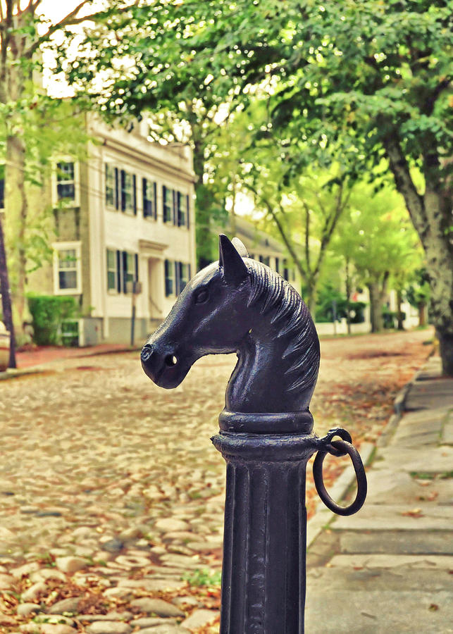 Nantucket Hitching Post Photograph by JAMART Photography