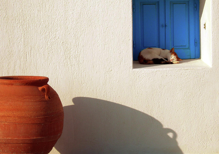 Pets Mixed Media - Nap Time In Mykonos by Les Mumm