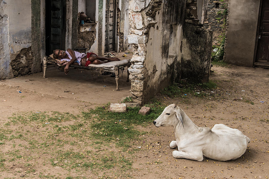 Street Photograph - Nap Time by Mohammed Alnaser Street Photograph - Nap Time by Mohammed Alnaser