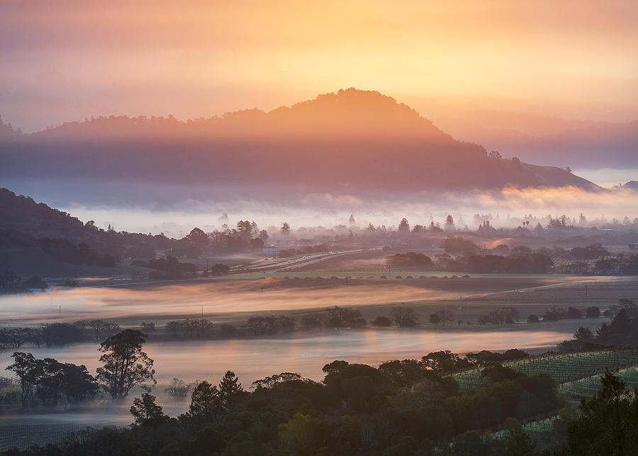 Landscape Photograph - Napa Valley At Dawn by Ryan Li