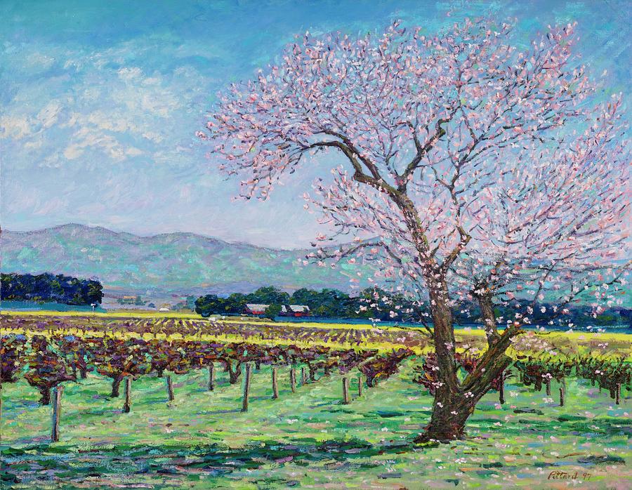 Napa Valley Early Spring Painting by Tom Pittard