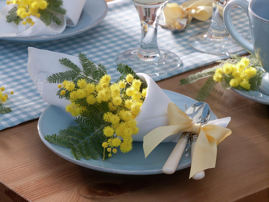 Napkin Decoration With A Small Acacia mimosa Bouquet Photograph by Friedrich Strauss
