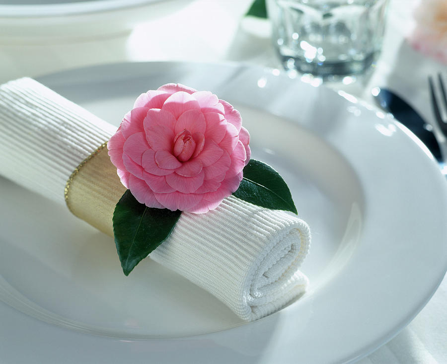 Napkin Decoration With Camellia Japonica camellia Photograph by Friedrich Strauss