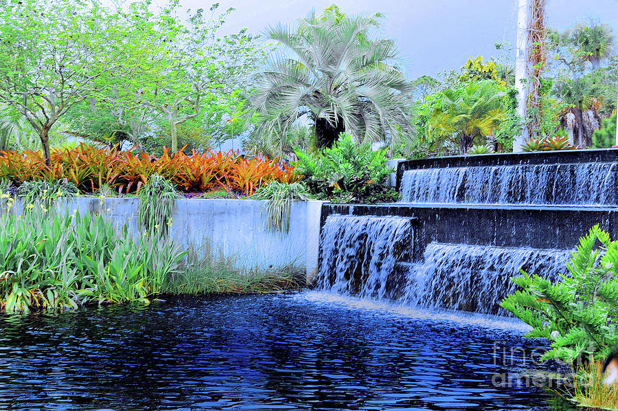 Naples Florida  Botanical  Tropical Gardens Photograph by Elaine Manley