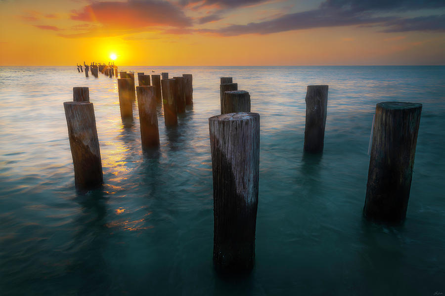 Naples Old Pilings Photograph by Owen Weber