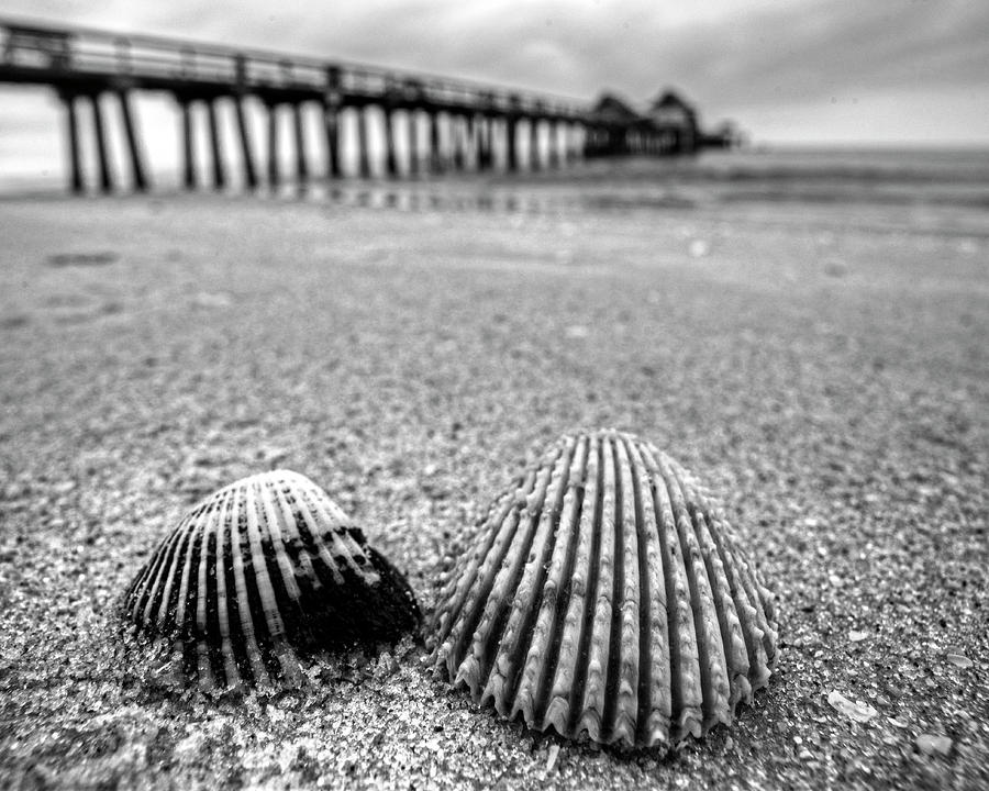 Pier Photograph - Naples Pier Seashells Naples FL Florida Black and White by Toby McGuire