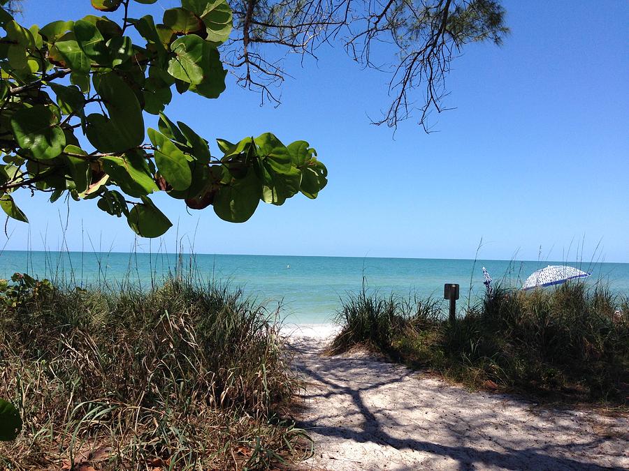 Naples State Park Beach Photograph by Laura Smith