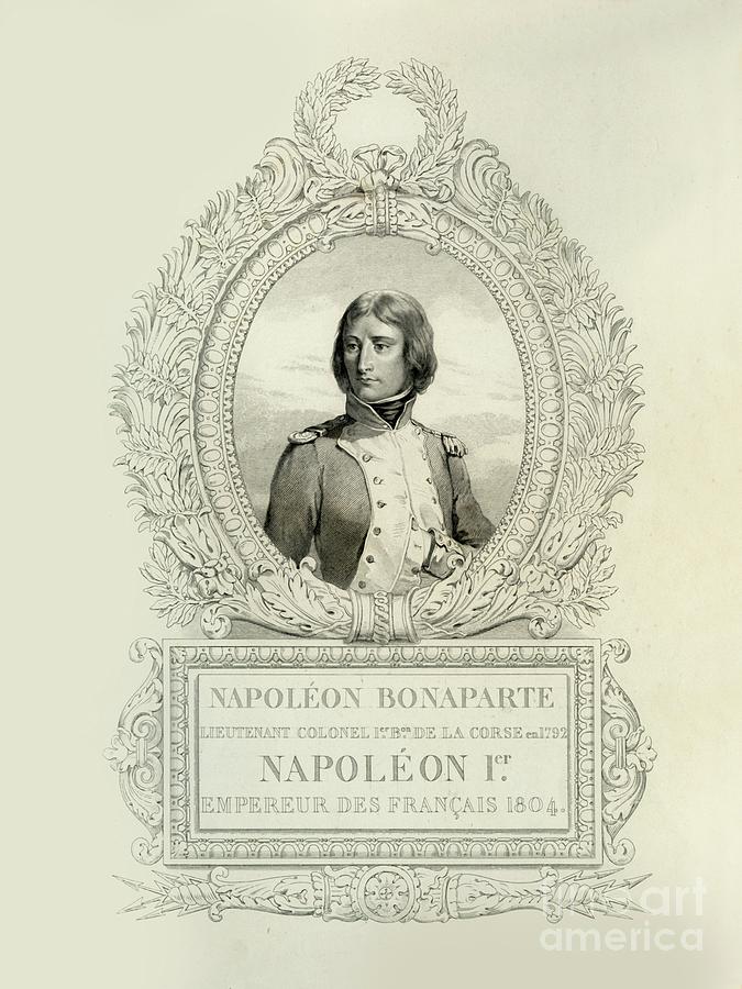 Napoleon Bonaparte Drawing by Print Collector