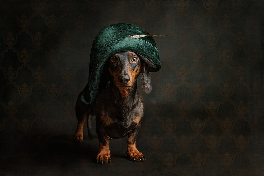 Napoleon? Photograph by Heike Willers Napoleon? Photograph by Heike Willers