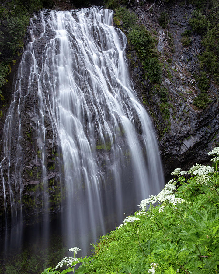 Narada Falls Mount Rainier Photograph by Alex Mironyuk