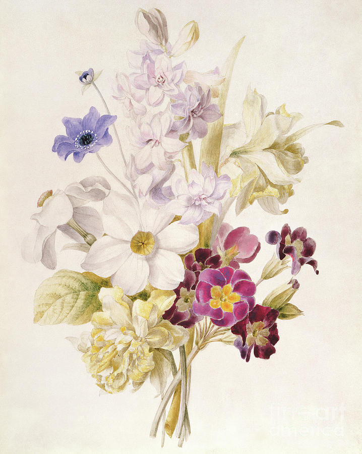 Narcissus and other Flowers, 1840 Painting by French School