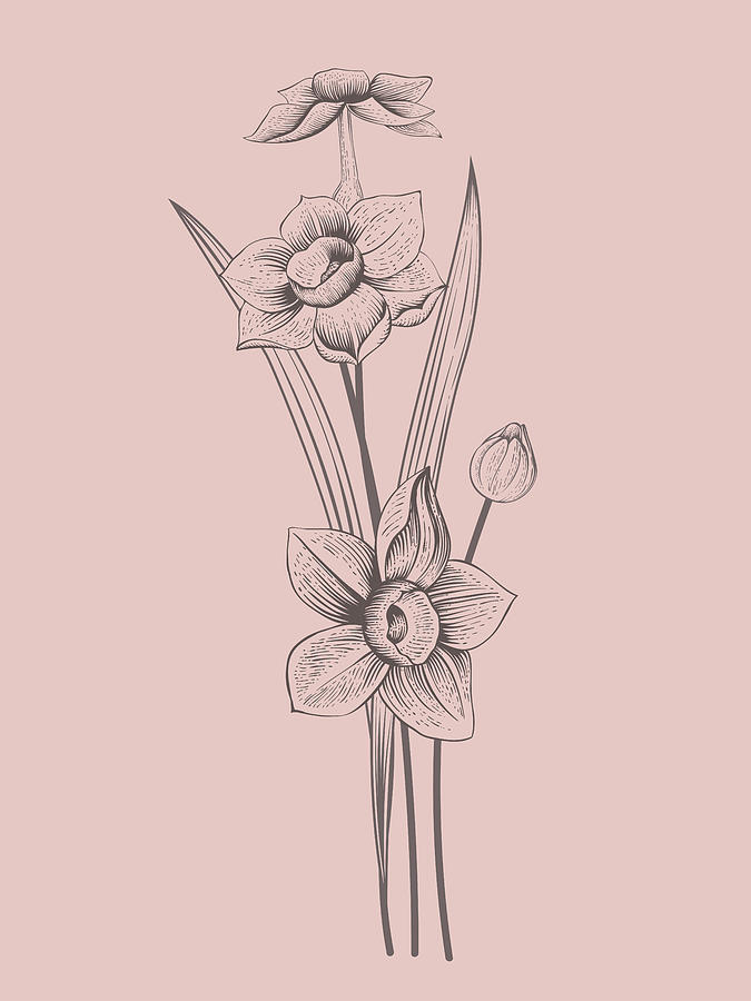 Flower Mixed Media - Narcissus Blush Pink Flower by Naxart Studio