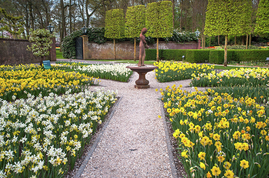 Narcissus Flowerbeds with Sculpture in Keukenhof Photograph by Jenny Rainbow