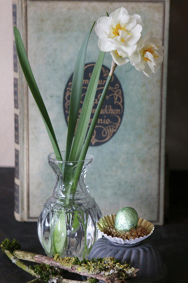 Narcissus In Vintage Vase And Mossy Branch In Front Of Old Book Photograph by Regina Hippel