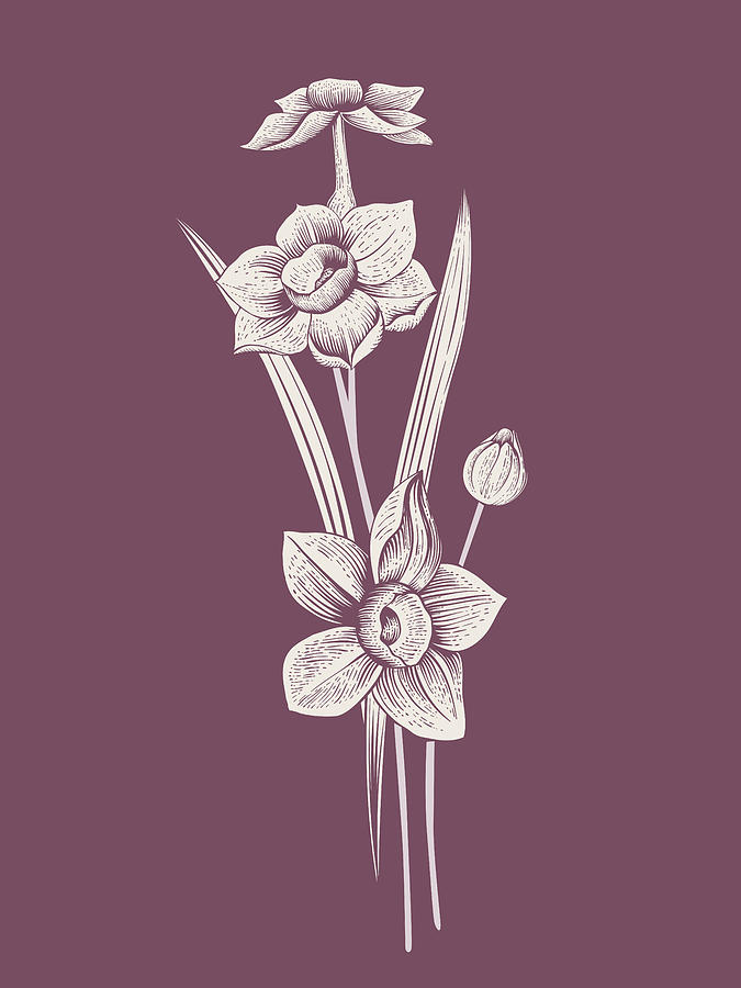Flower Mixed Media - Narcissus Purple Flower by Naxart Studio