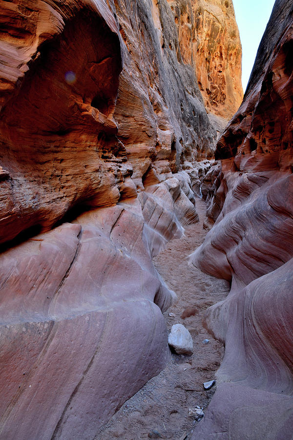 Narrow Canyon Walls in Little Wild Horse Canyon Photograph by Ray Mathis