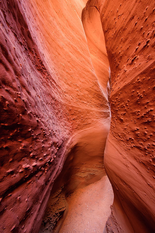 Antelope Canyon Photograph - Narrow Divide by Michael Blanchette Photography