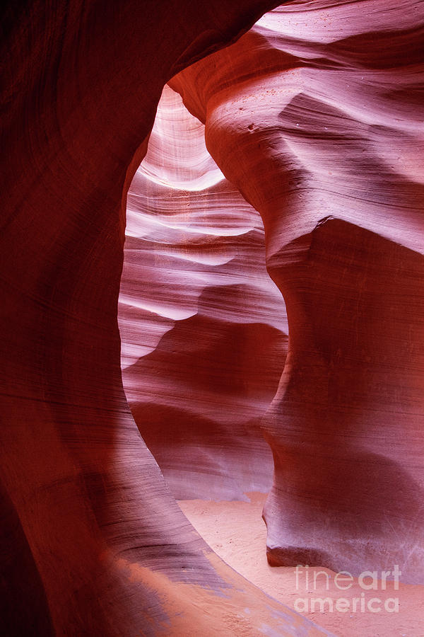 Narrow Path by Scott Kemper Narrow Path by Scott Kemper