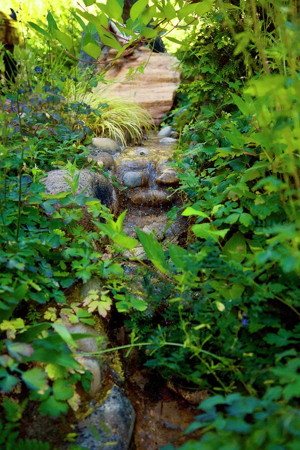 Narrow, Plant-lined Stream Running Over Stone Steps Photograph by Mohrimages