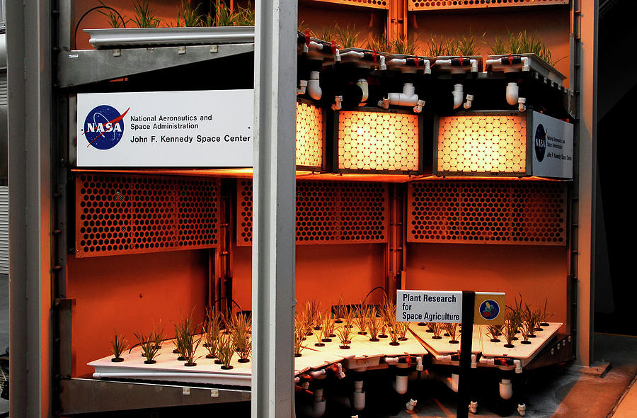 NASA research at Epcot Photograph by David Lee Thompson