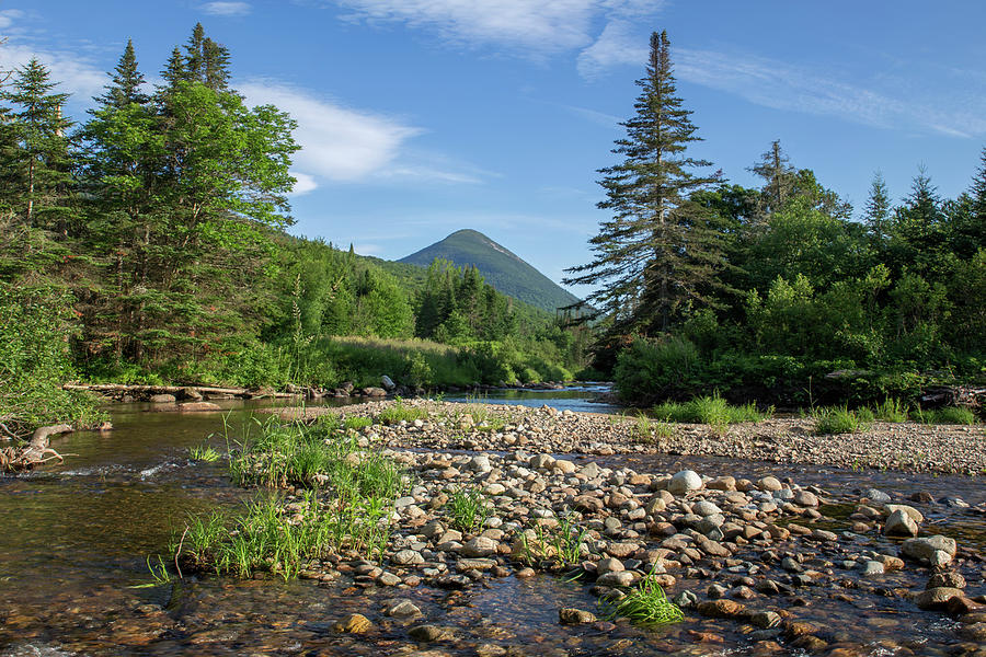 Nash Stream Summer Photograph by White Mountain Images