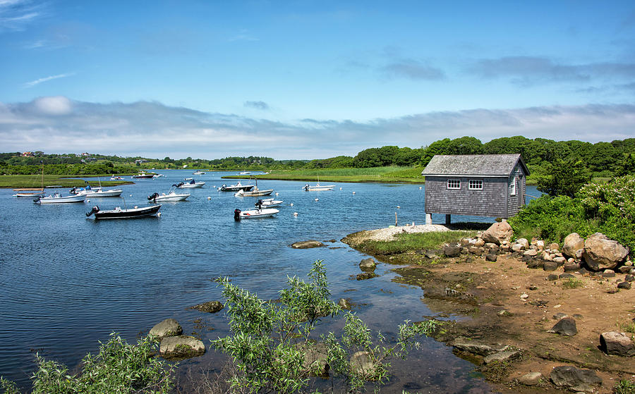 Vineyard Photograph - Nashaquitsa Pond On Marthas Vineyard by Brendan Reals Vineyard Photograph - Nashaquitsa Pond On Marthas Vineyard by Brendan Reals