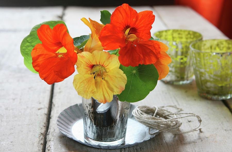 Nasturtium Flowers In A Water Glass As A Table Decoration Photograph by Hippel, Regina