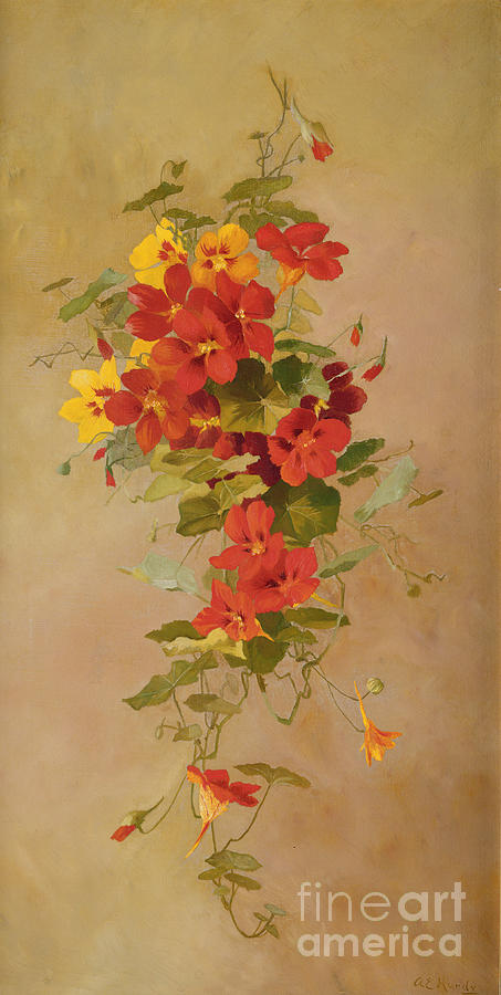 Flowers Still Life Painting - Nasturtiums by Anna Eliza Hardy