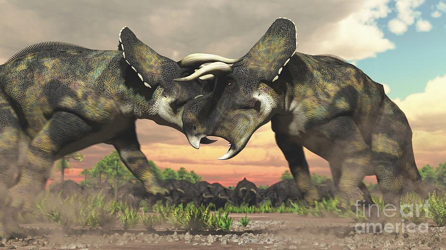 nasutuceratops
