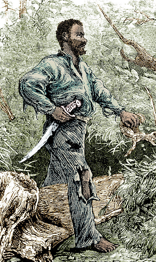Nat Turner, Rebel Slave Photograph by Science Source