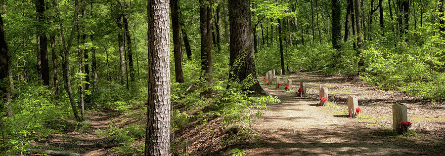 Natchez Trace - 13 Graves Panorama Photograph by Susan Rissi Tregoning