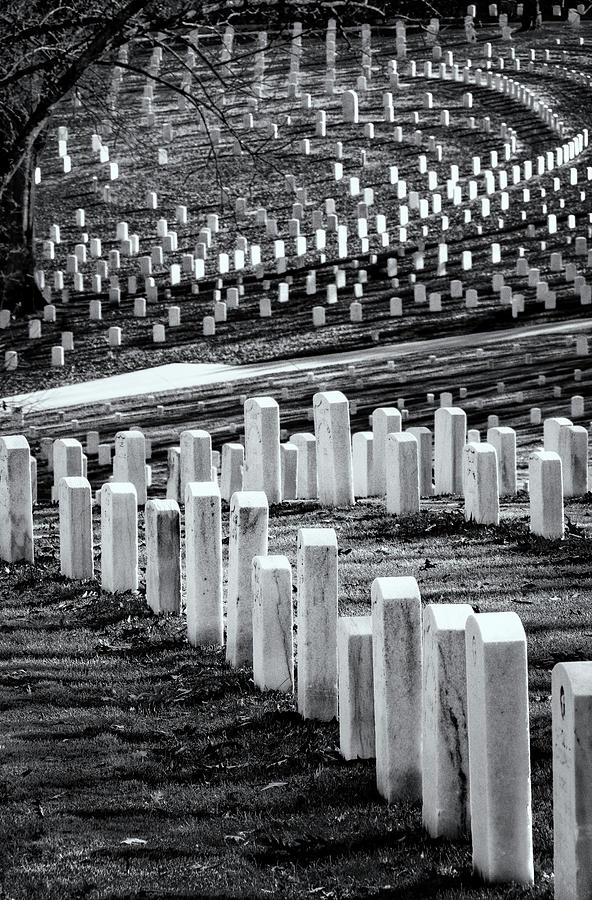 National Cemetery Photograph by Tom Singleton