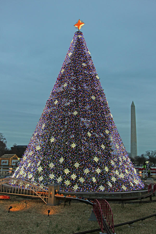 National Christmas Tree 2016 With Washington Monument Photograph by Cora Wandel