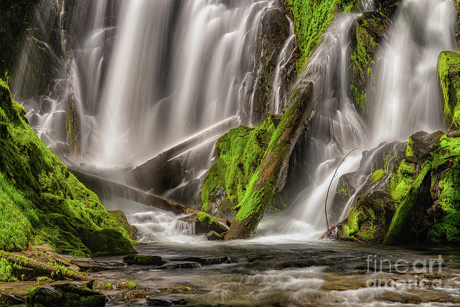 National Creek Falls Photograph - National Creek Falls by Roxie Crouch