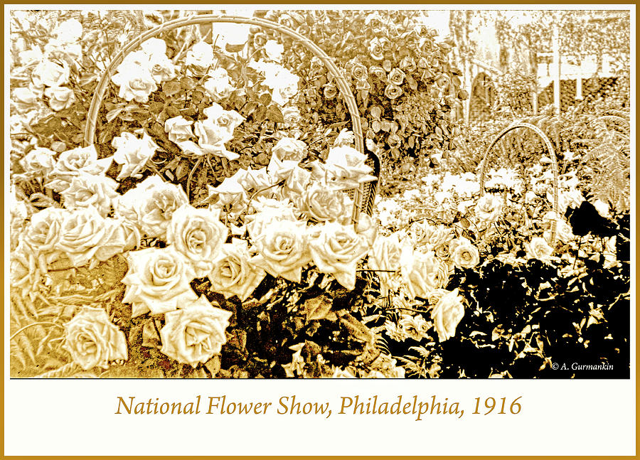 National Flower Show, Philadelphia, 1916 Photograph by A Macarthur Gurmankin