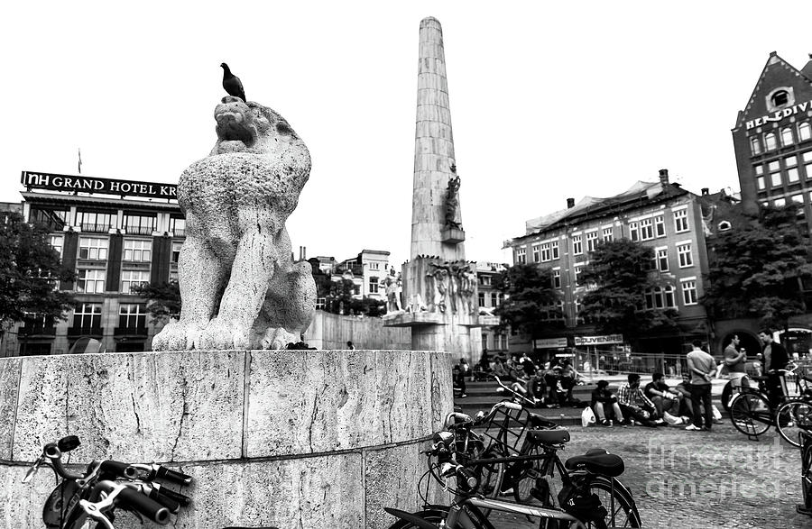 National Monument Lion in Dam Square Amsterdam Photograph by John Rizzuto