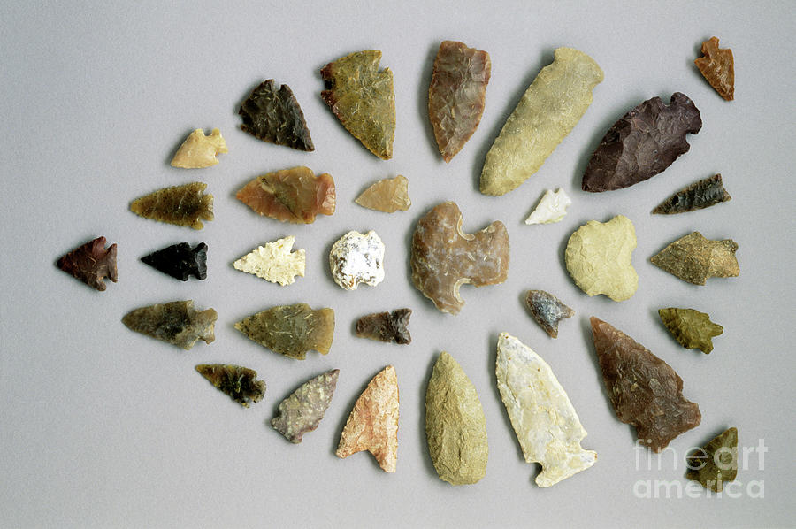 Native American Arrowheads Photograph by George Post/science Photo Library